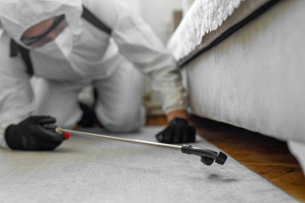 Professional Emergency Pest Control technician working in Council Bluffs, IA